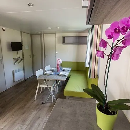 Hotel La Palmyre Estanquet